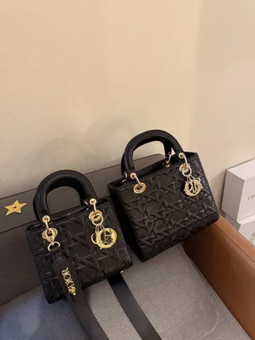Dior Bag