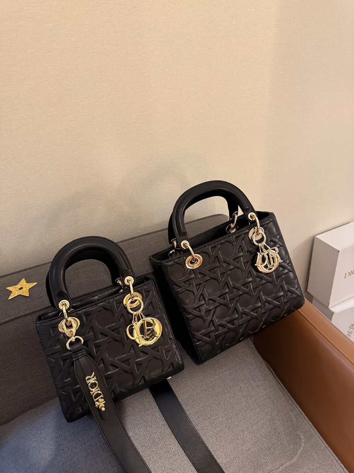 Dior Bag