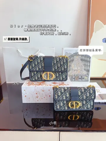 Dior Bag