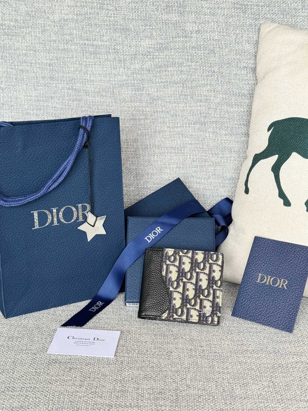 Dior Saddle