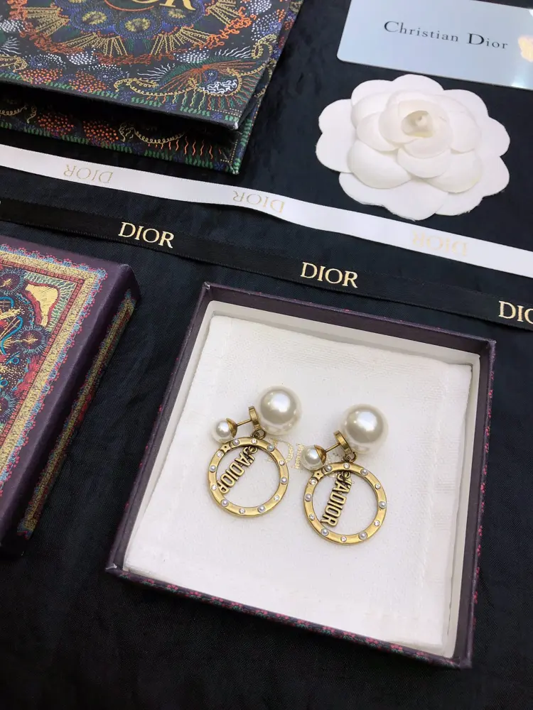 DIOR new CD retro earrings