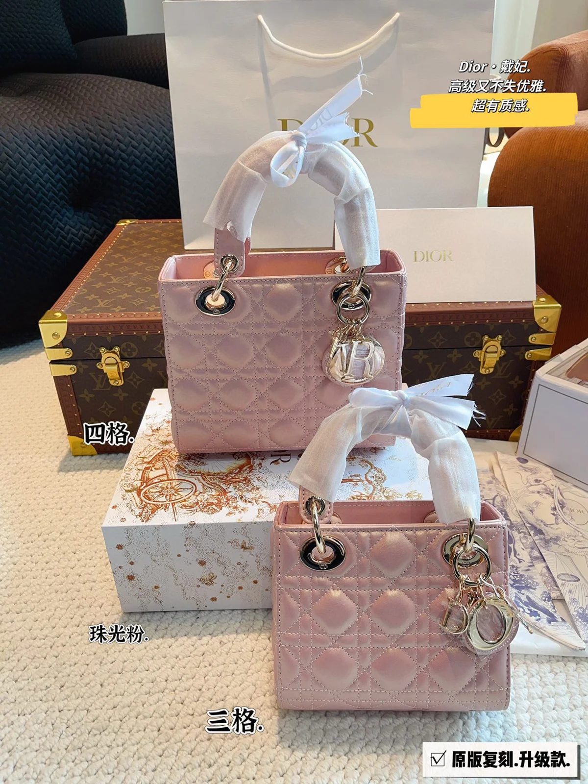 Dior Bag