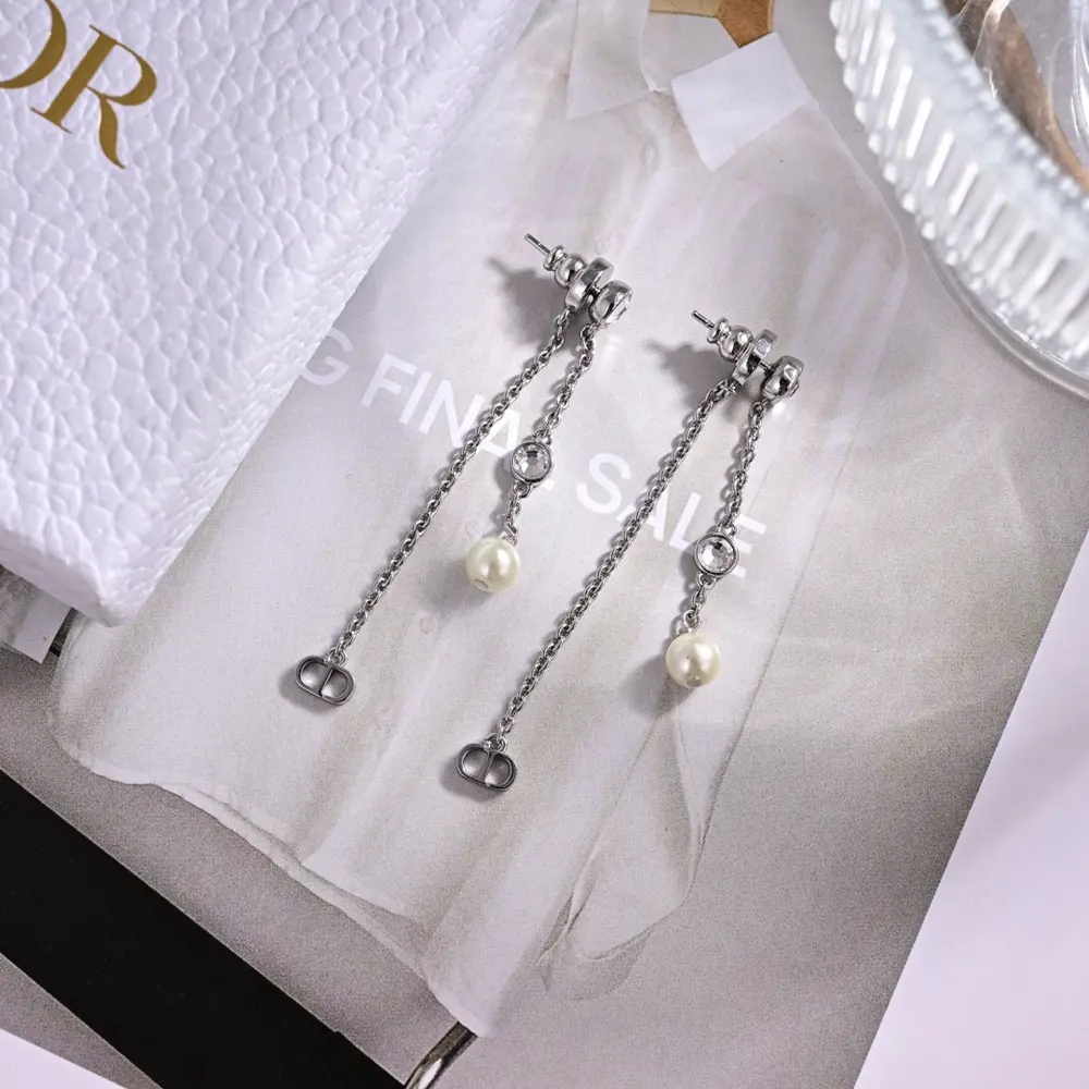 Dior 2024 new style Dior