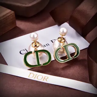 DIOR earrings The same brass material as the counter