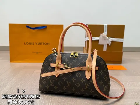 Louis Vuitton Bag