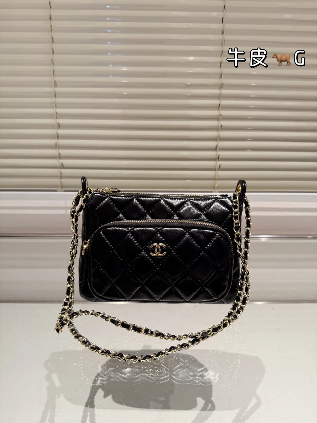 Chanel Bag