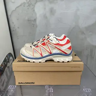 Salomon sports shoes