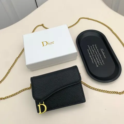 Dior Saddle