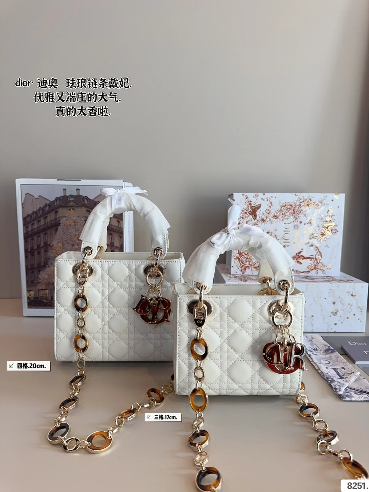 Dior Bag
