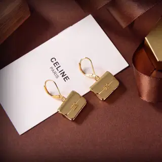 Celine bag and earrings