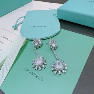 Tiffany Earrings Commemorative Edition Behind the Scenes Horse Eye Earrings