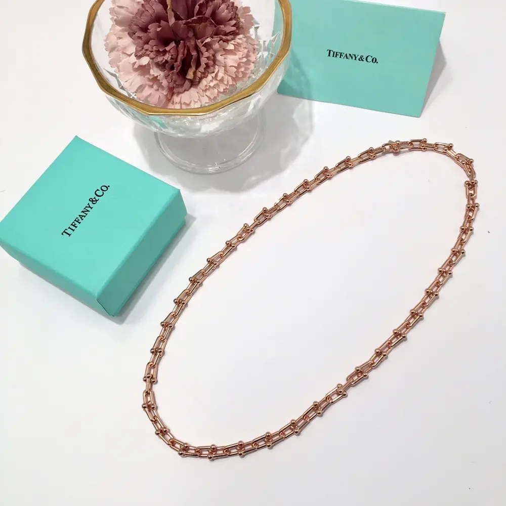 Tiffany smooth bamboo long necklace