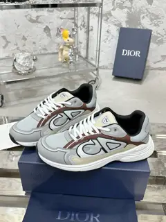 Dior B30 series reflective dad sneakers