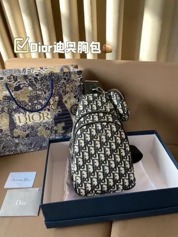 Dior Bag
