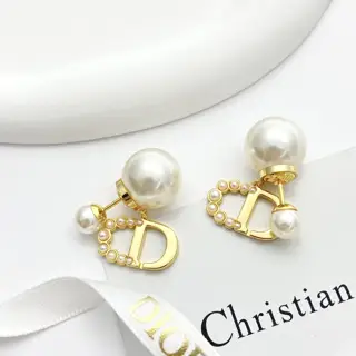 DIOR earrings are hot-selling and are now available