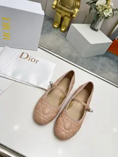 Dior pearl single shoes new product