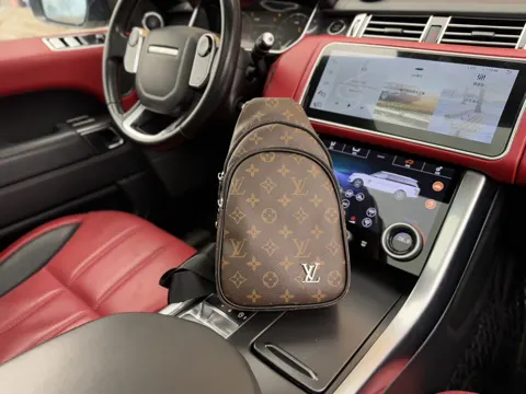 Louis Vuitton Bag