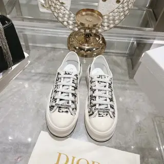 Dior new style – embroidery
