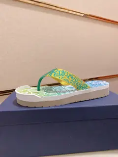Dior slippers