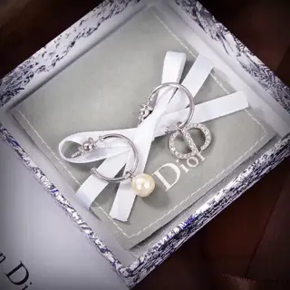 Dior new style Dior new letter earrings loved by all the top brands. The metal texture