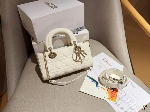 Dior Bag