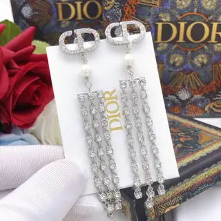 Dior new arrival JADIOR series cd letter tassel earrings silver