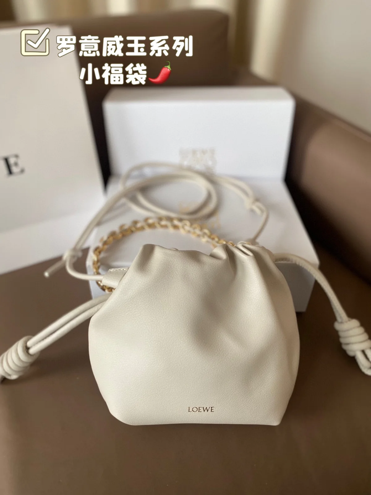 Loewe Bag