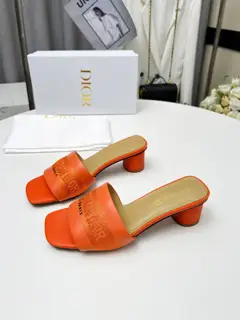 Dior slippers