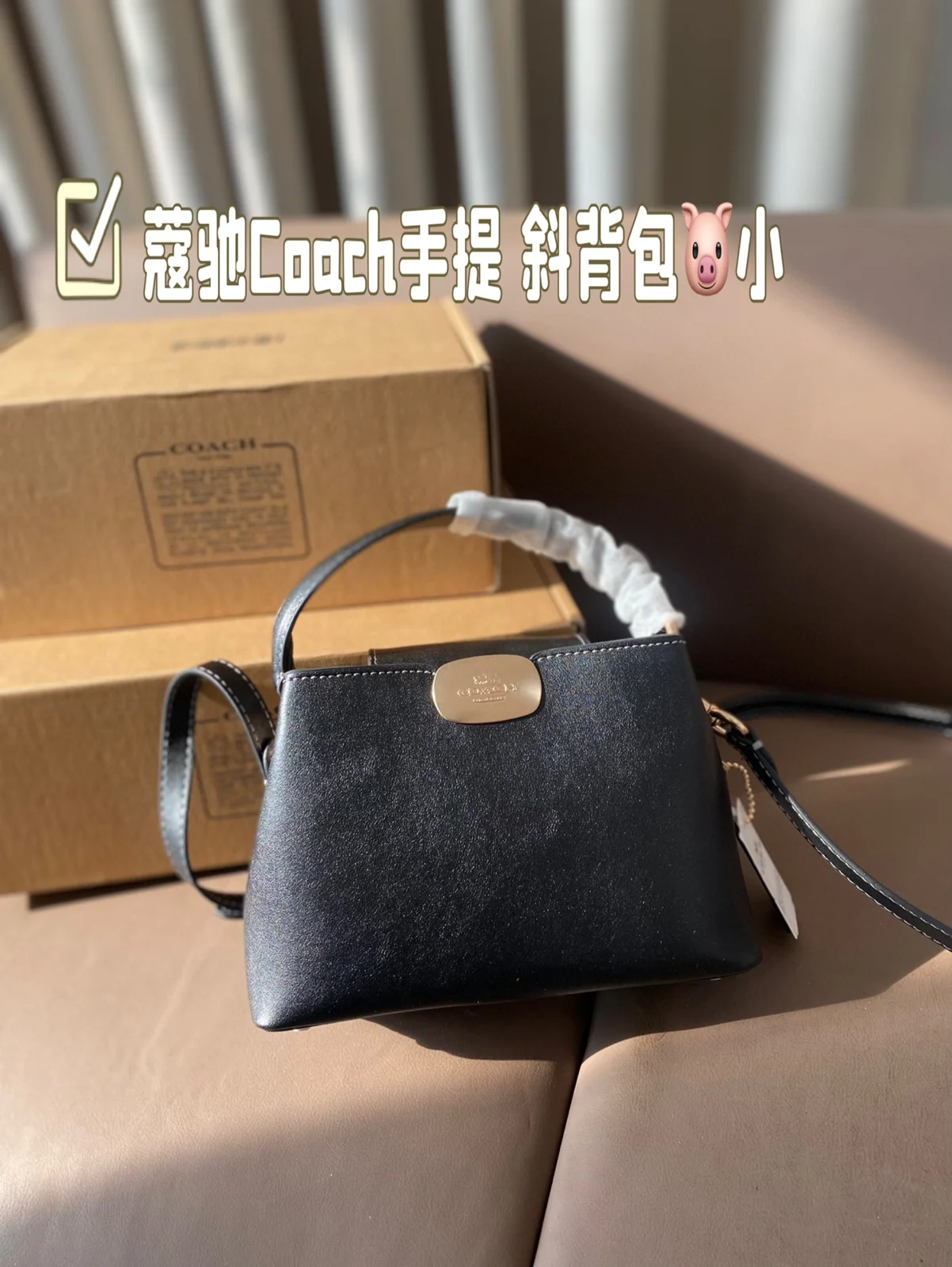 COACH Shoulder Bag