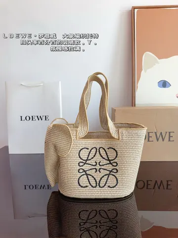 Loewe Bag