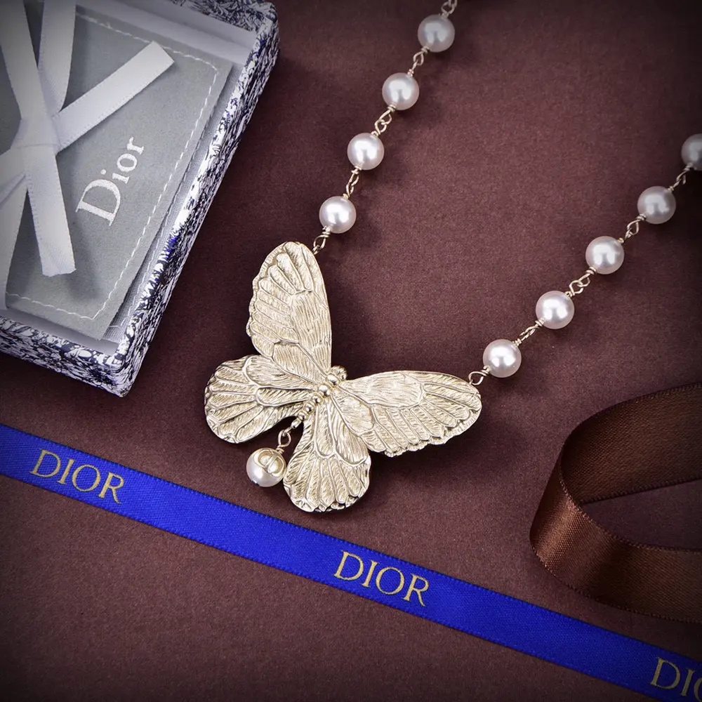 Dior 2024 new style Dior