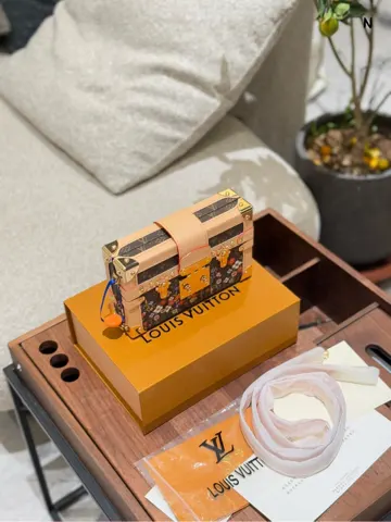 Louis Vuitton Bag
