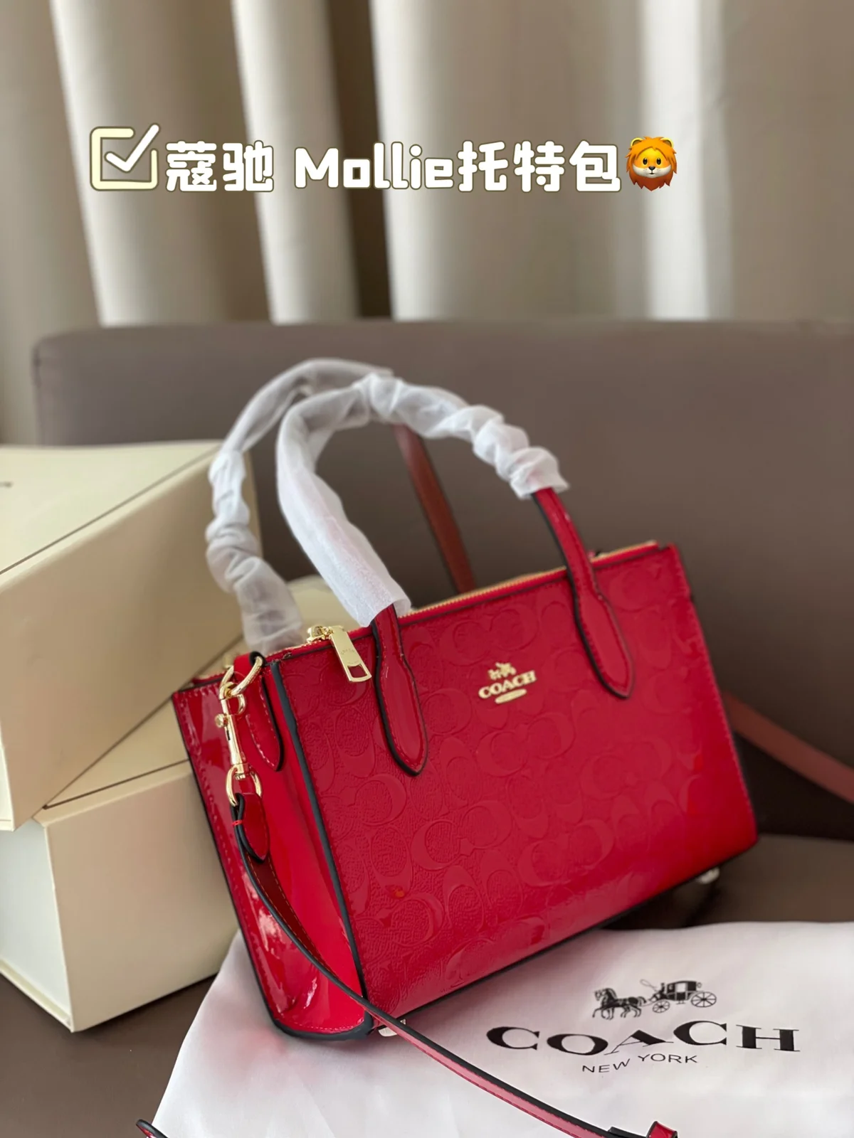 COACH Tote