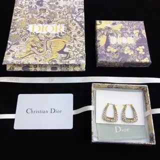Dior diamond JADIOR letter earrings