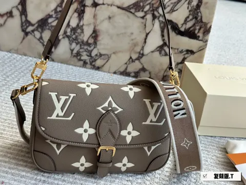 Louis Vuitton Bag