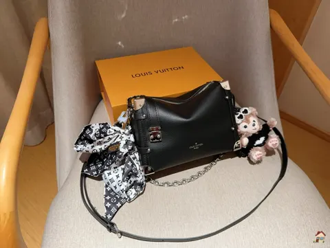 Louis Vuitton Bag