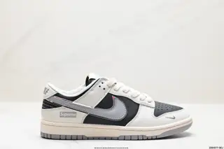 Nike SB Dunk Low Retro Dunk Series Retro Low-top Casual Sports Skateboard Shoes XX9916-016