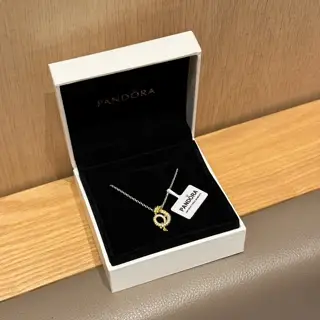 Pandora Little Golden Dragon Two-color Chinese Year of the Dragon Clavicle Necklace Gift