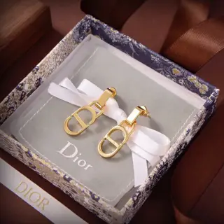 DIOR earrings The same brass material as the counter