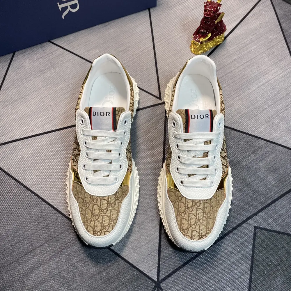 Dior sneakers