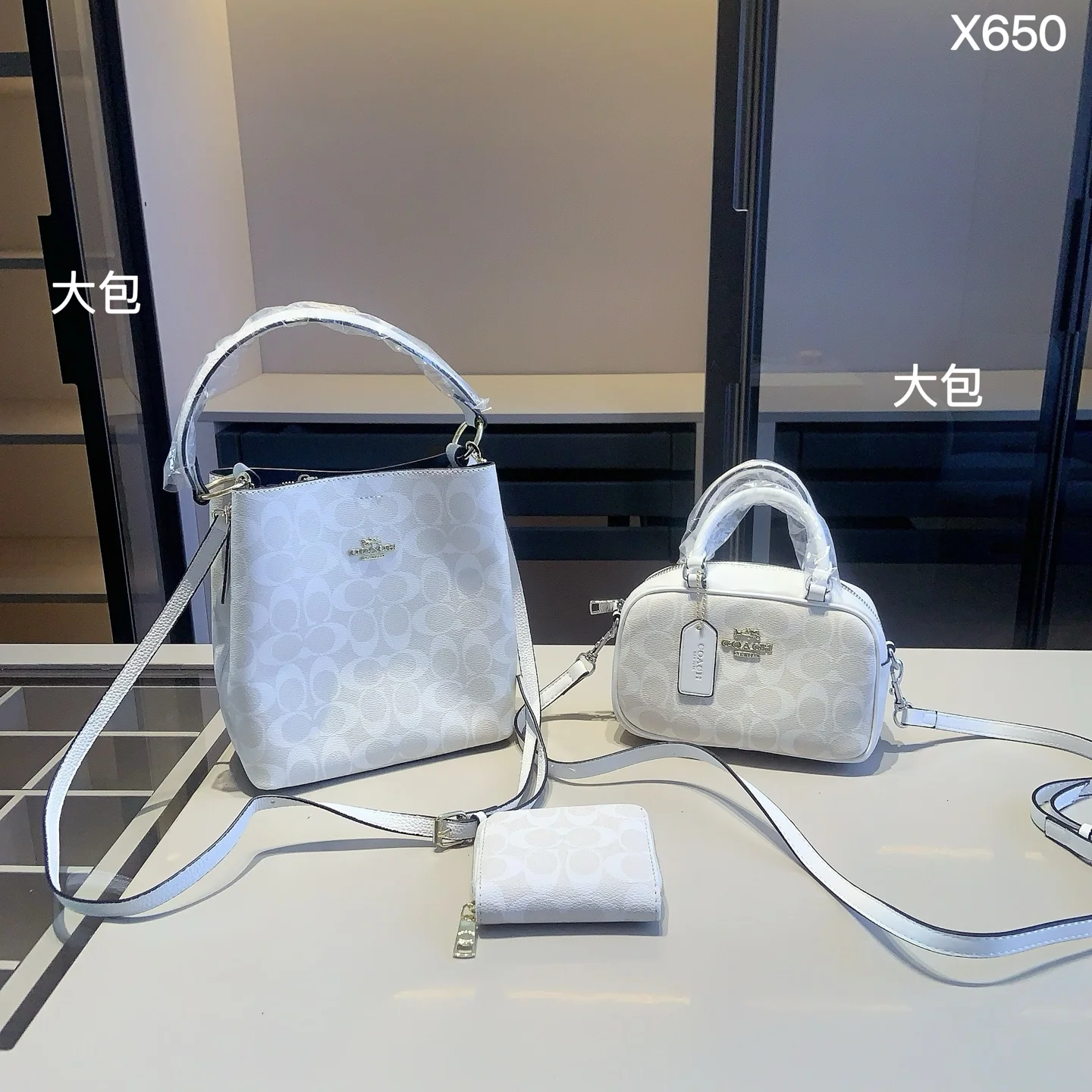 COACH Bucket Bag