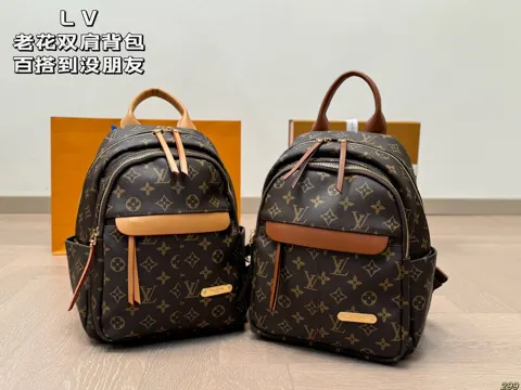 Louis Vuitton Backpack