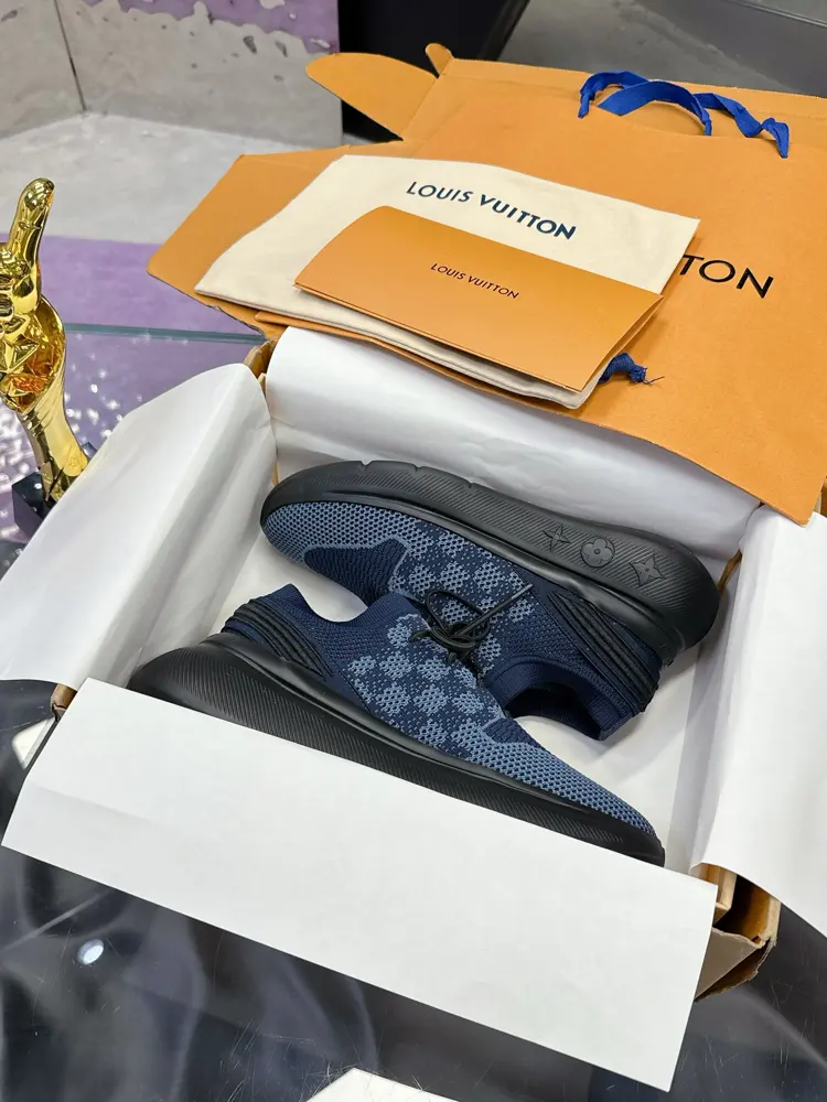 Louis Vuitton casual shoes