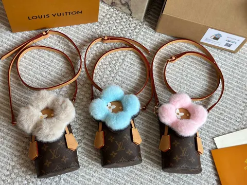 Louis Vuitton Bag