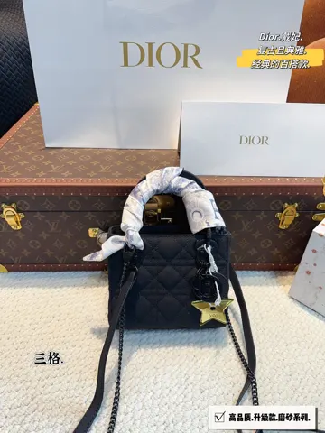 Dior Bag