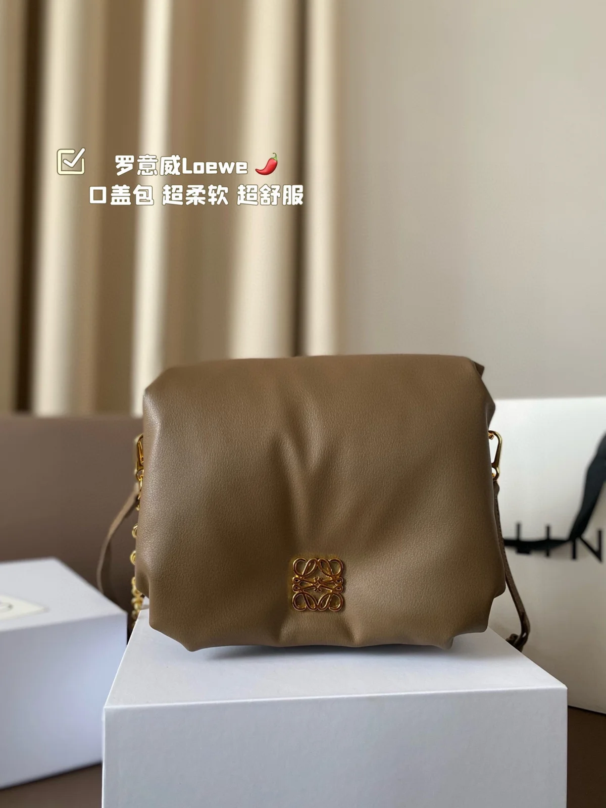 Loewe Bag