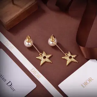 Dior new style Dior new five-pointed star earrings are loved by all the top brands. The