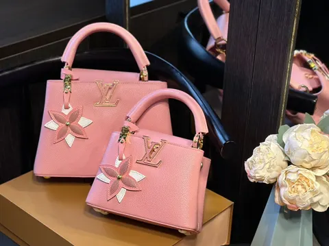 Louis Vuitton Capucines