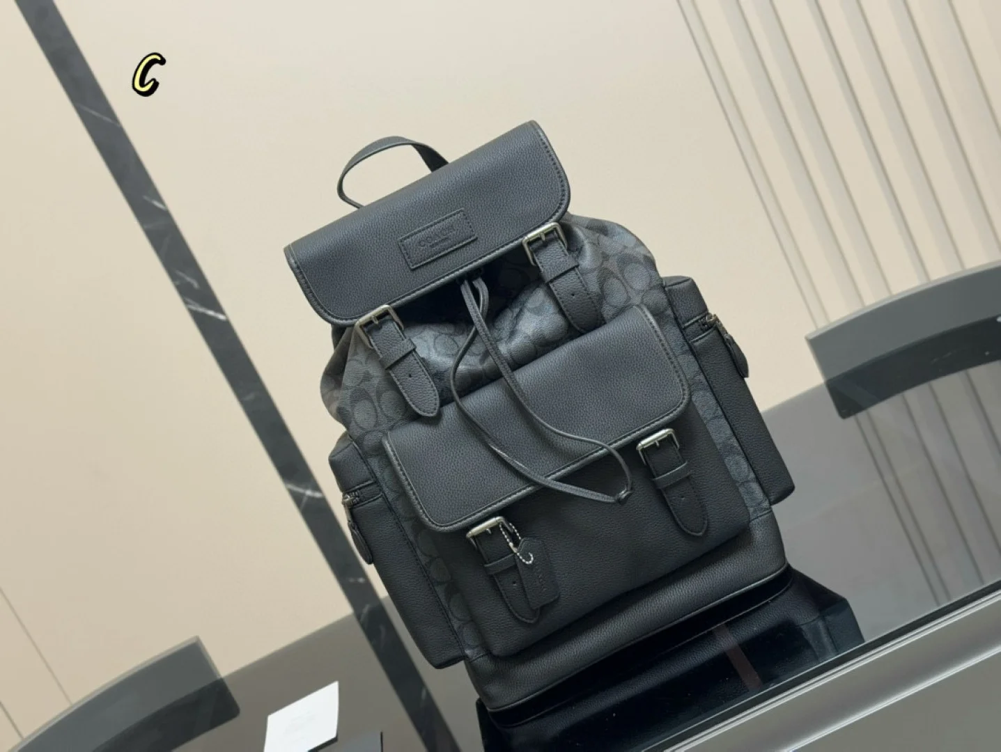 COACH Backpack