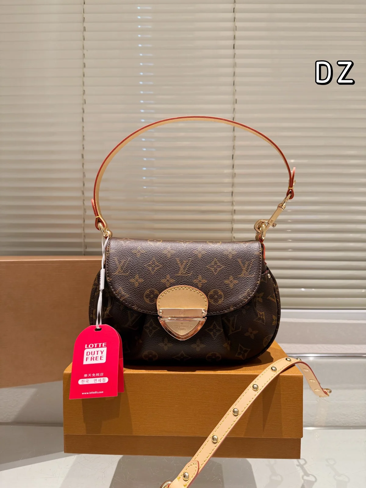 Louis Vuitton Bag